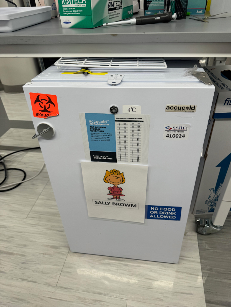 Image of Accucold Undercounter Refrigerator